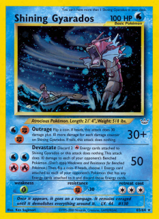 Shining Gyarados 65/66