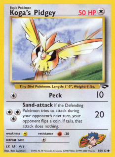 Koga's Pidgey 80/132