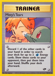 Misty's Tears 118/132